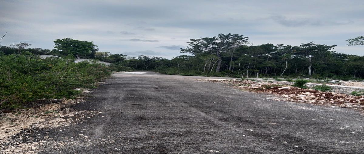 Foto de terreno habitacional en venta en avenida la huayacan , alfredo v bonfil, benito juárez, quintana roo, 9261347 No. 02