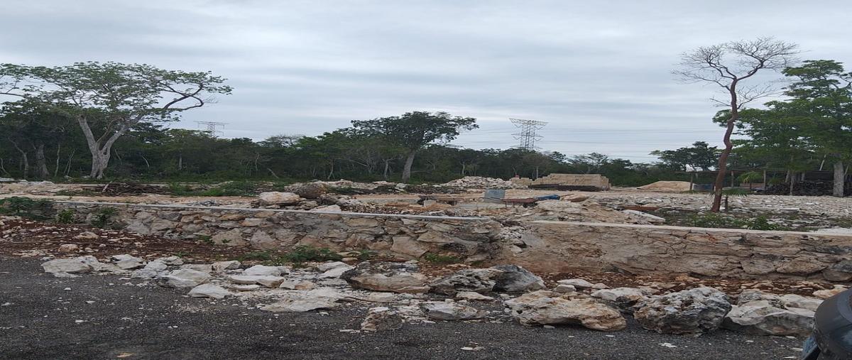 Foto de terreno habitacional en venta en avenida la huayacan , alfredo v bonfil, benito juárez, quintana roo, 9261347 No. 04