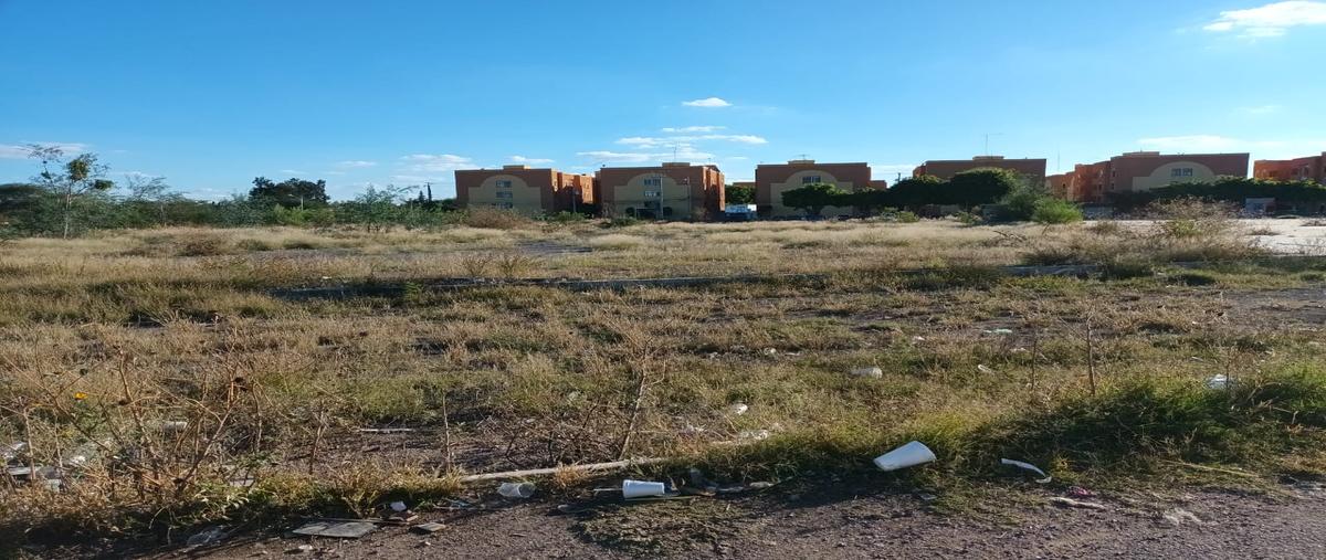 Foto de terreno habitacional en venta en avenida las ánimas , ampliación lázaro cárdenas, irapuato, guanajuato, 27752656 No. 05