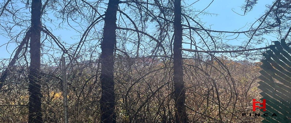 Foto de terreno habitacional en venta en avenida las flores , lomas country club, huixquilucan, méxico, 0 No. 04