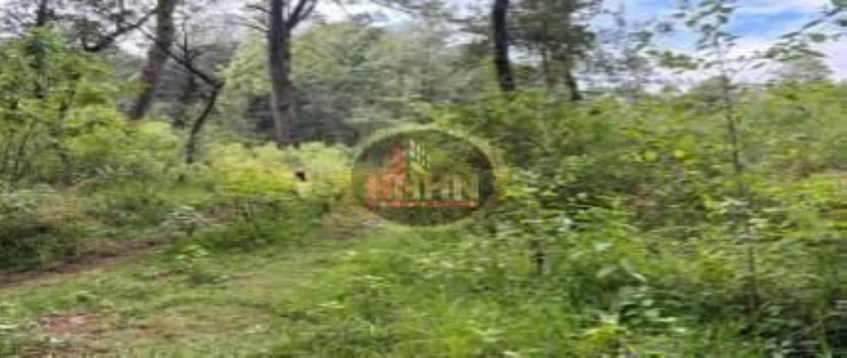 Foto de terreno habitacional en venta en avenida las gaviotas , huitzilac, huitzilac, morelos, 28877451 No. 04