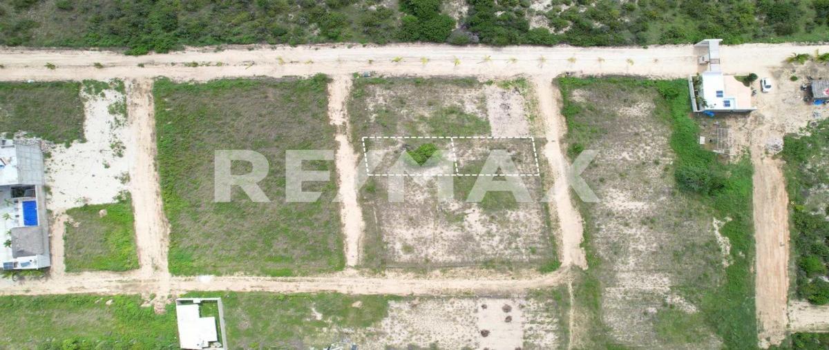 Foto de terreno habitacional en venta en avenida las palmas , cabo las olas, san pedro mixtepec -dto. 22 -, oaxaca, 0 No. 03