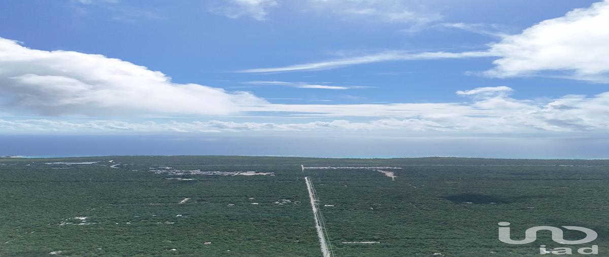 Foto de terreno habitacional en venta en avenida las palmas , ciudad chemuyil, tulum, quintana roo, 29243739 No. 05
