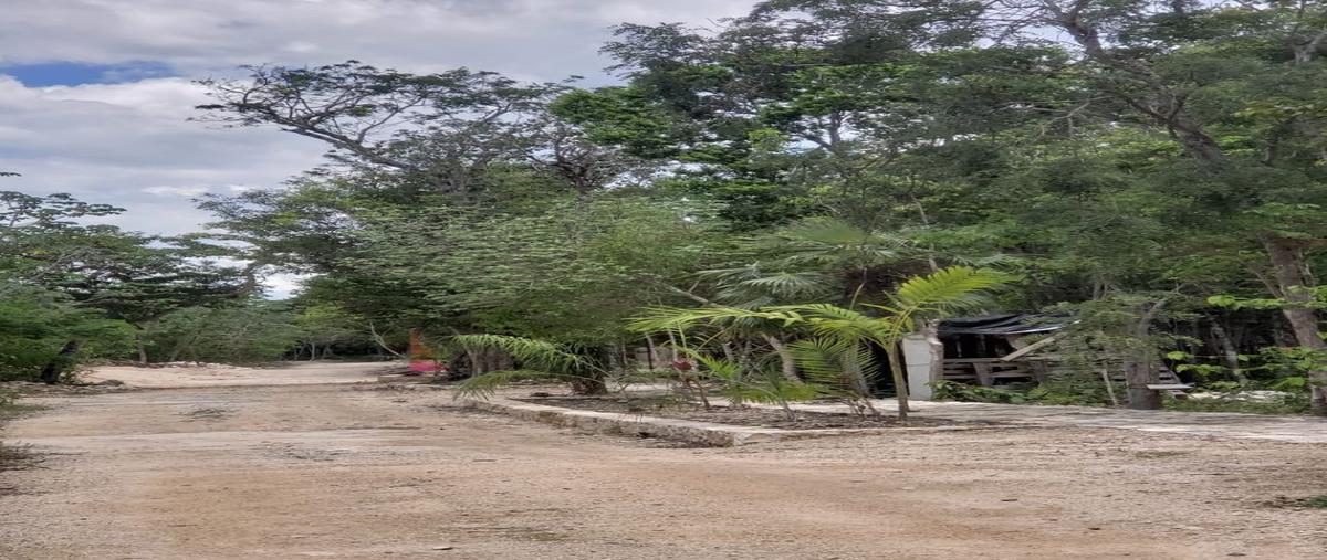 Foto de terreno habitacional en venta en avenida las palmas manzana 66 lote , ciudad chemuyil, tulum, quintana roo, 27974357 No. 03