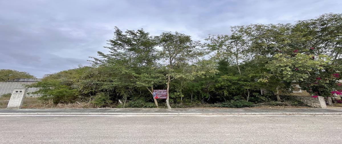 Foto de terreno habitacional en venta en avenida laureles , la rejoyada, mérida, yucatán, 29393563 No. 05