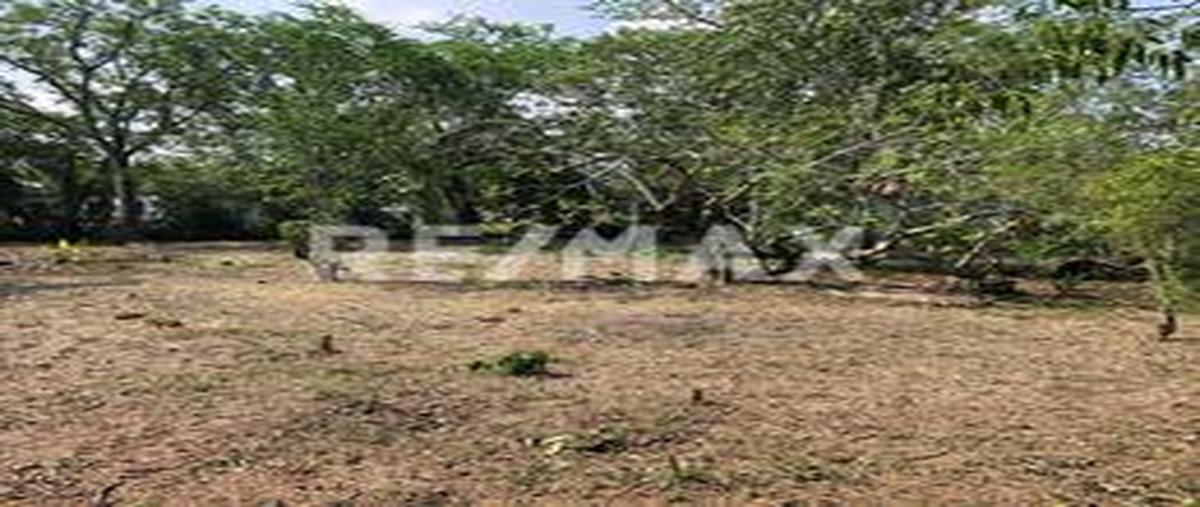 Foto de terreno comercial en venta en avenida lázaro cárdenas , manuel avila camacho, ebano, san luis potosí, 7654587 No. 03