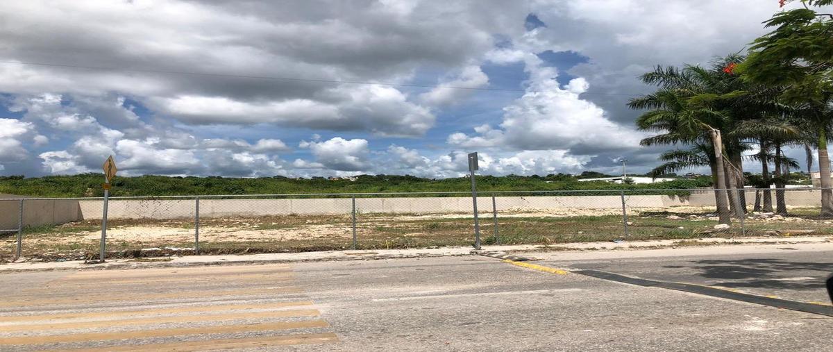 Foto de terreno habitacional en renta en avenida lazaro cardenas , solidaridad urbana, campeche, campeche, 28217640 No. 04