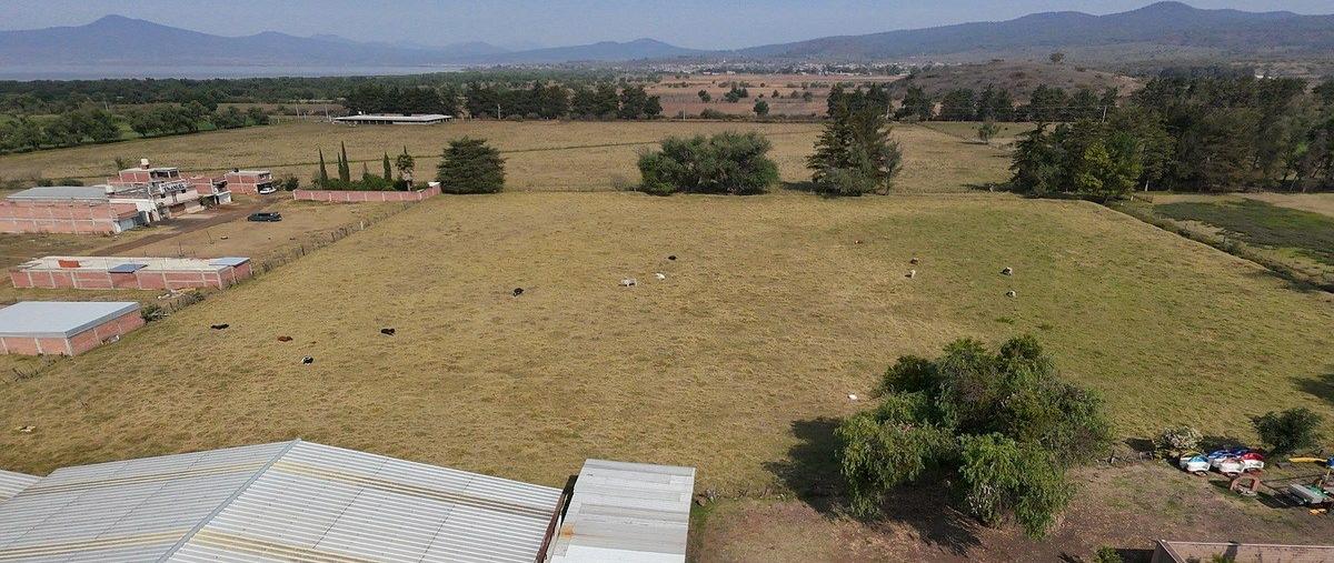 Foto de terreno habitacional en venta en avenida lázaro cardenas sur , sanambo, quiroga, michoacán de ocampo, 29477027 No. 03