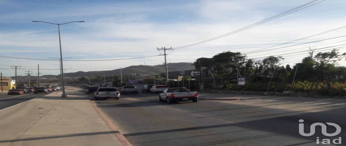 Foto de terreno comercial en renta en avenida leona vicario , lagunitas, los cabos, baja california sur, 28720664 No. 01
