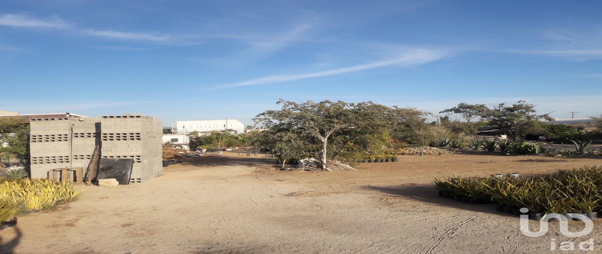 Foto de terreno comercial en renta en avenida leona vicario , lagunitas, los cabos, baja california sur, 28720664 No. 03