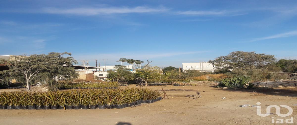 Foto de terreno comercial en renta en avenida leona vicario , lagunitas, los cabos, baja california sur, 28720664 No. 04