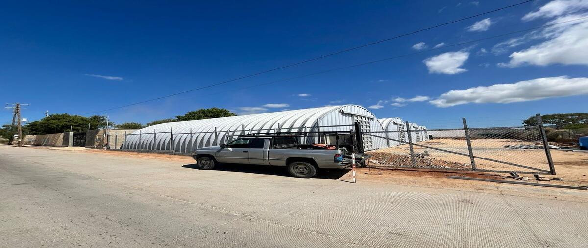 Foto de bodega en renta en avenida leona vicario , mesa colorada iii, los cabos, baja california sur, 0 No. 05