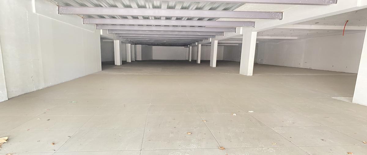 Foto de local en renta en avenida licenciado benito juárez garcía , san mateo, metepec, méxico, 29259644 No. 04