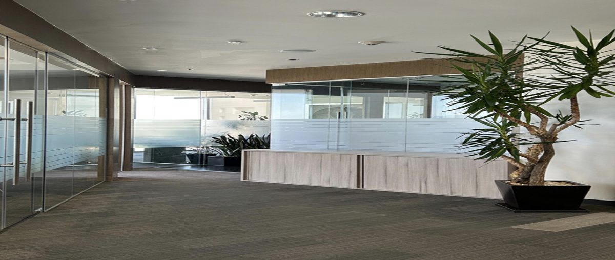 Foto de oficina en renta en avenida loma de la palma , lomas de vista hermosa, cuajimalpa de morelos, df / cdmx, 29462238 No. 05