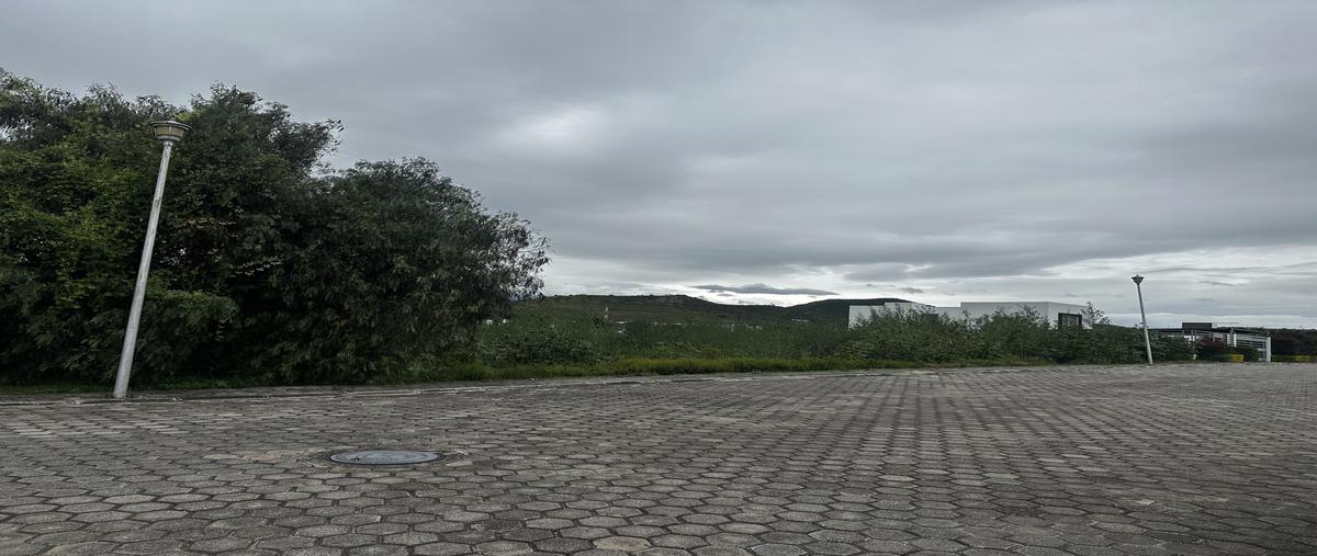 Foto de terreno habitacional en venta en avenida lomas de san juan , tolometla de benito juárez, atlixco, puebla, 30484183 No. 03