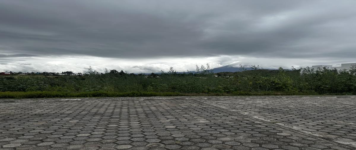 Foto de terreno habitacional en venta en avenida lomas de san juan , tolometla de benito juárez, atlixco, puebla, 30484183 No. 04