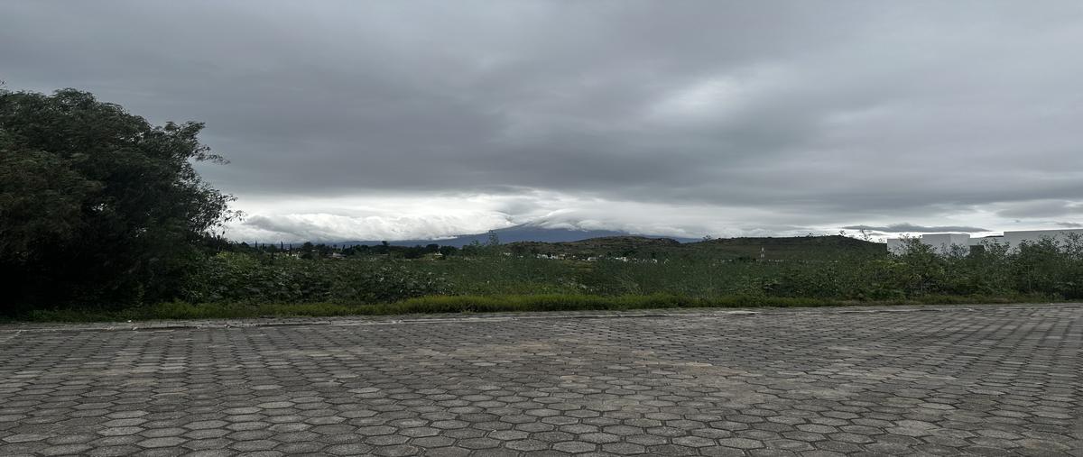 Foto de terreno habitacional en venta en avenida lomas de san juan , tolometla de benito juárez, atlixco, puebla, 30484183 No. 05