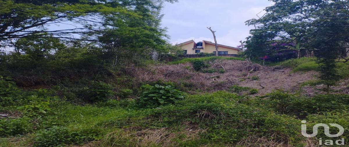 Foto de terreno habitacional en venta en avenida lomas del tejar , lomas del tejar, xalapa, veracruz de ignacio de la llave, 29921078 No. 05