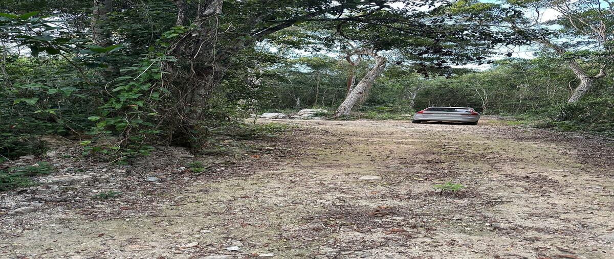 Foto de terreno habitacional en venta en avenida lool bej , ciudad chemuyil, tulum, quintana roo, 28098595 No. 05