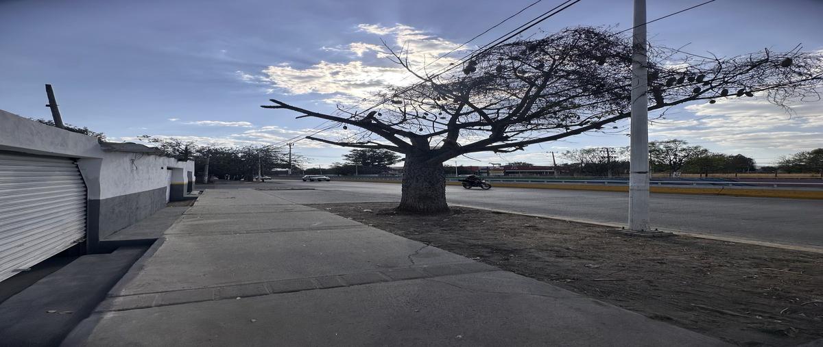 Foto de terreno habitacional en venta en avenida lópez mateos sur , san agustin, tlajomulco de zúñiga, jalisco, 29345222 No. 03