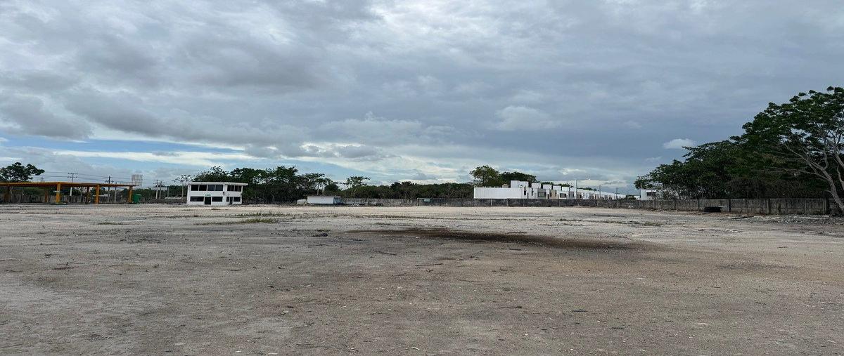 Foto de terreno industrial en renta en avenida lopez portillo , juárez, benito juárez, quintana roo, 0 No. 06