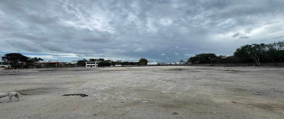 Foto de terreno industrial en renta en avenida lopez portillo , juárez, benito juárez, quintana roo, 0 No. 07