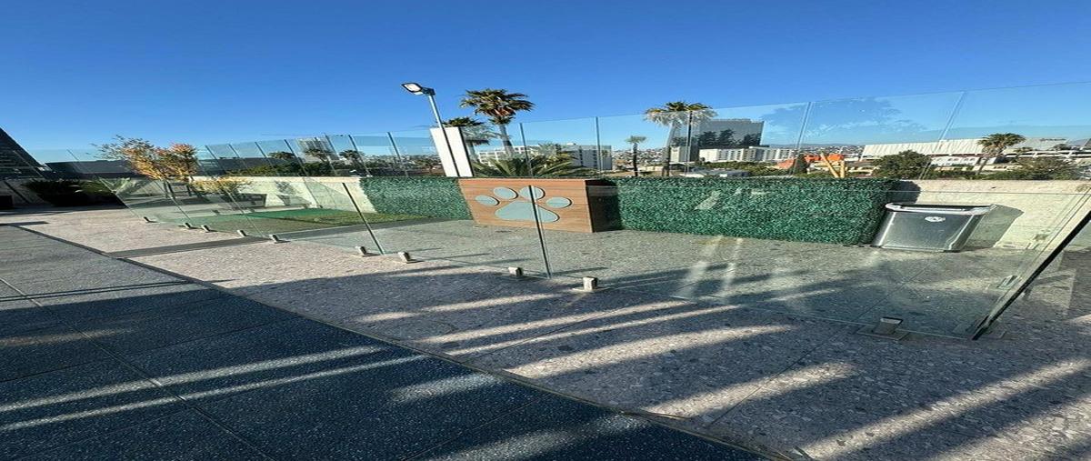 Foto de departamento en avenida los olivos , gabilondo, tijuana, baja california, 0 foto 03 Foto de departamento en renta en avenida los olivos , gabilondo, tijuana, baja california, 0 No. 03