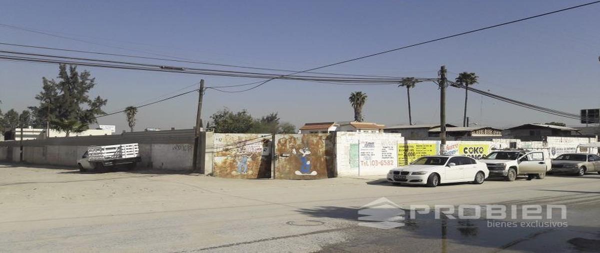 Foto de terreno comercial en avenida los pinos de nares , pinos de narez, tijuana, baja california, 26056582 foto 05 Foto de terreno comercial en venta en avenida los pinos de nares , pinos de narez, tijuana, baja california, 26056582 No. 05