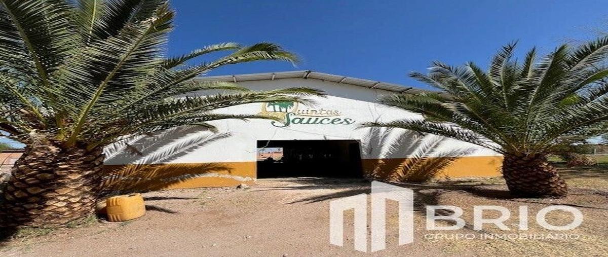 Foto de terreno habitacional en venta en avenida los sauces , colonia hidalgo, durango, durango, 29496386 No. 05