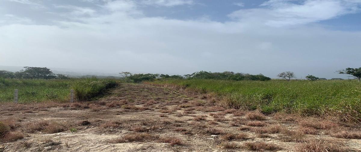 Foto de terreno habitacional en venta en avenida macedonia , linda vista, berriozábal, chiapas, 27688383 No. 03
