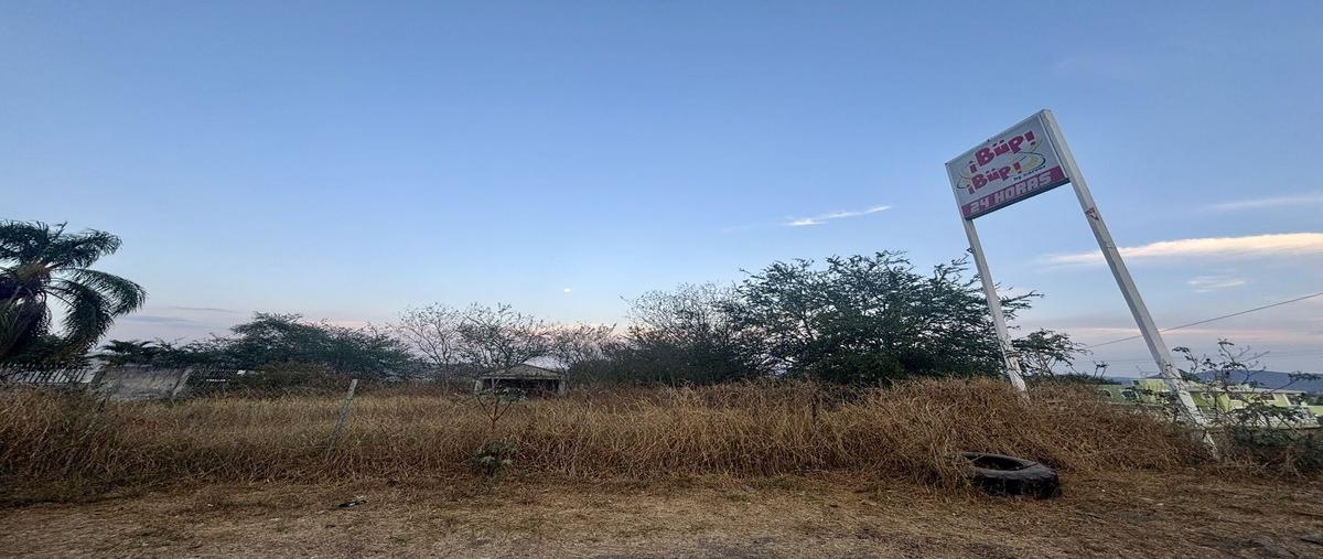 Foto de terreno habitacional en avenida margarita maza de juárez , ciuhapilli, tuxpan, jalisco, 29850523 foto 04 Foto de terreno habitacional en renta en avenida margarita maza de juárez , ciuhapilli, tuxpan, jalisco, 29850523 No. 04