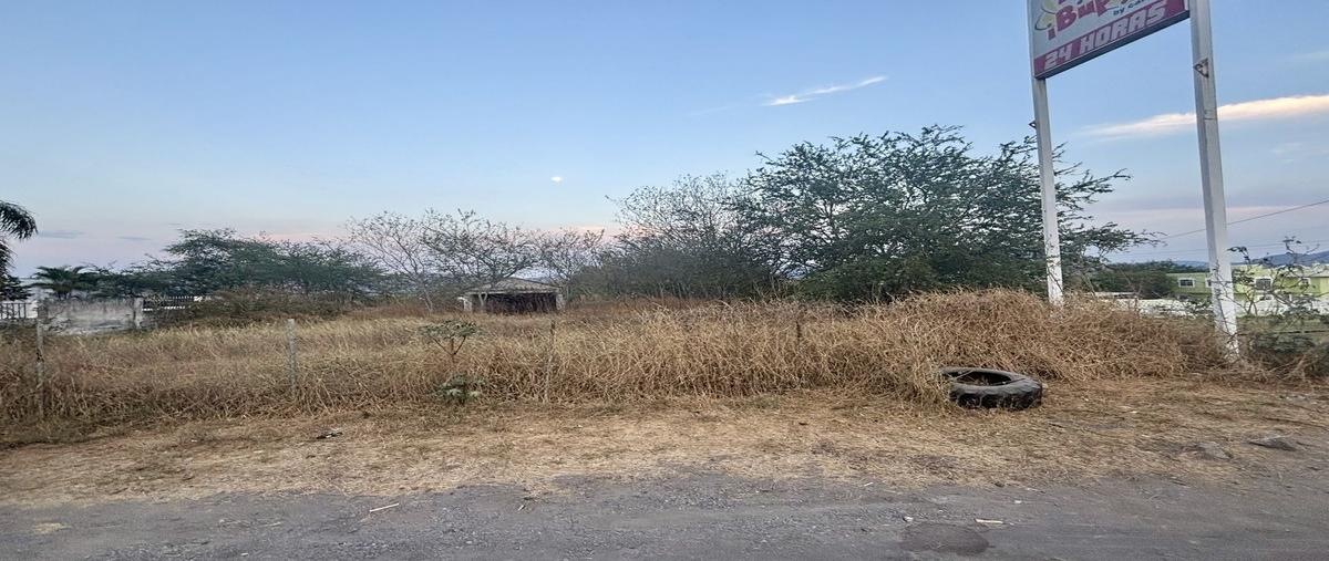 Foto de terreno habitacional en avenida margarita maza de juárez , ciuhapilli, tuxpan, jalisco, 29850523 foto 05 Foto de terreno habitacional en renta en avenida margarita maza de juárez , ciuhapilli, tuxpan, jalisco, 29850523 No. 05