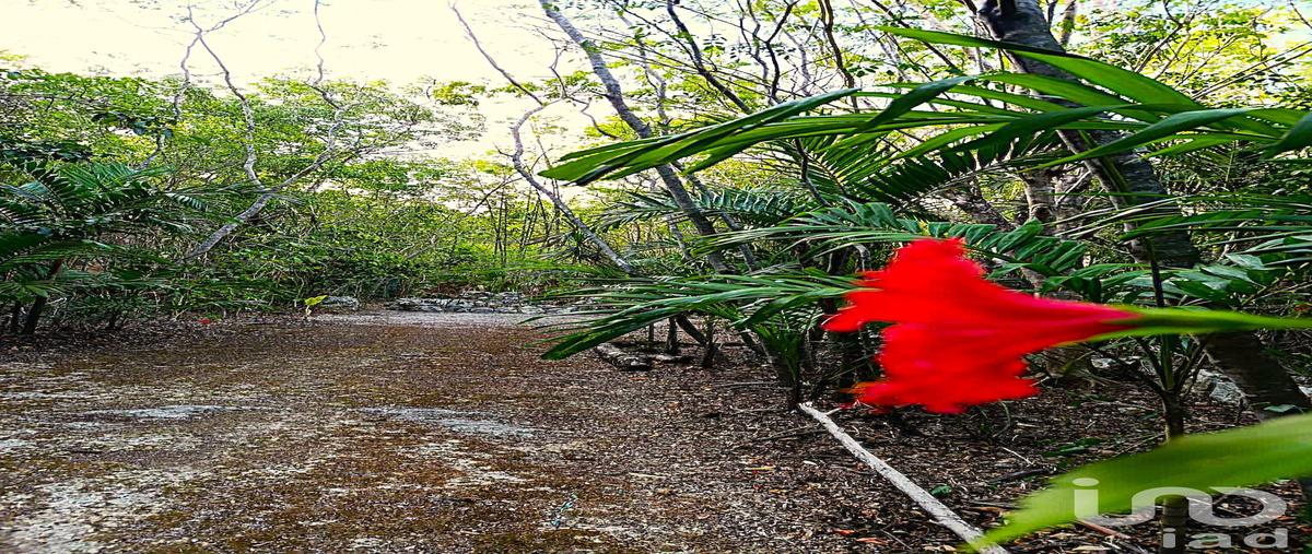 Foto de terreno habitacional en venta en avenida mayaluum 465, la guadalupana, solidaridad, quintana roo, 29968234 No. 05