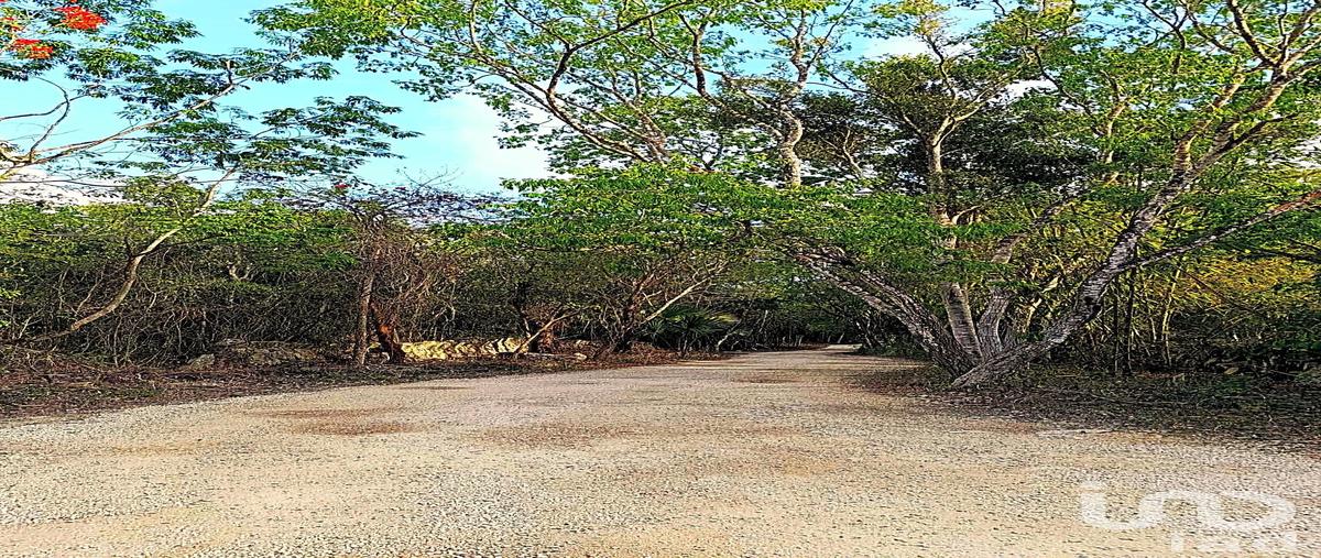 Foto de terreno habitacional en venta en avenida mayaluum 474, la guadalupana, solidaridad, quintana roo, 29968234 No. 04