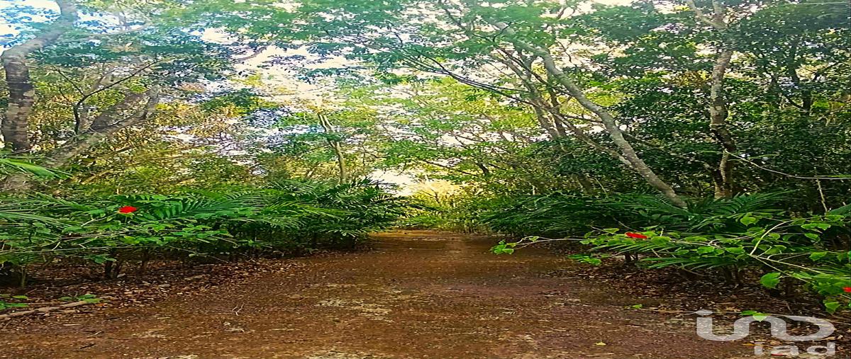 Foto de terreno habitacional en venta en avenida mayaluum 474, la guadalupana, solidaridad, quintana roo, 29968234 No. 05