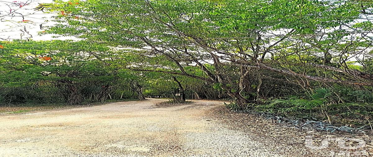 Foto de terreno habitacional en venta en avenida mayaluum 485, la guadalupana, solidaridad, quintana roo, 29968234 No. 03