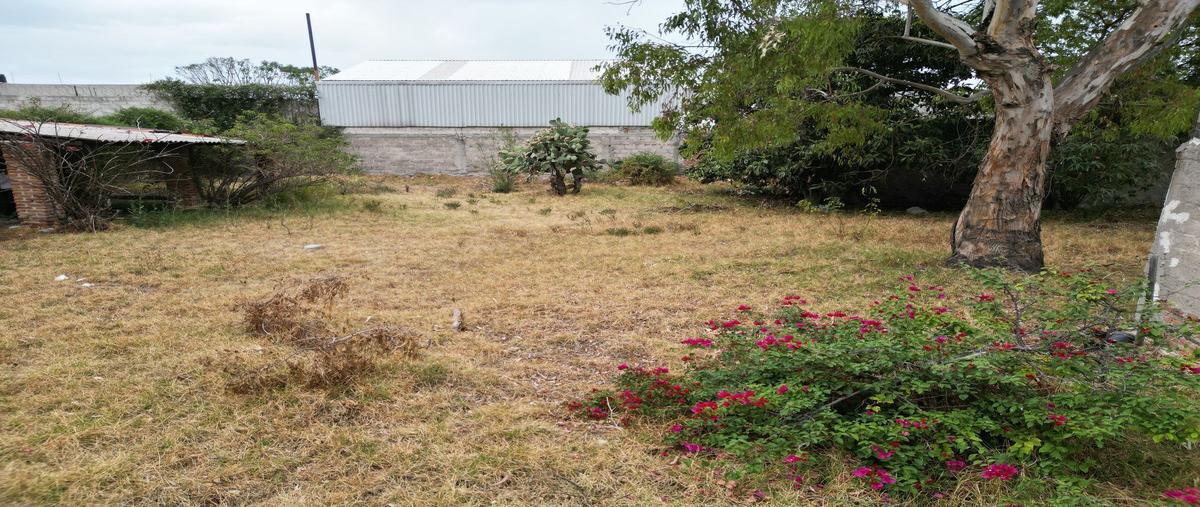 Foto de terreno comercial en venta en avenida melchor ocampo , san francisco 2a. sección, tepeji del río de ocampo, hidalgo, 26609233 No. 05