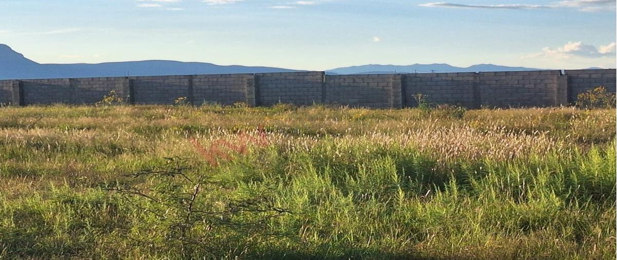 Foto de terreno habitacional en venta en avenida melchor ocampo s/n , el charco, chihuahua, chihuahua, 30333453 No. 04