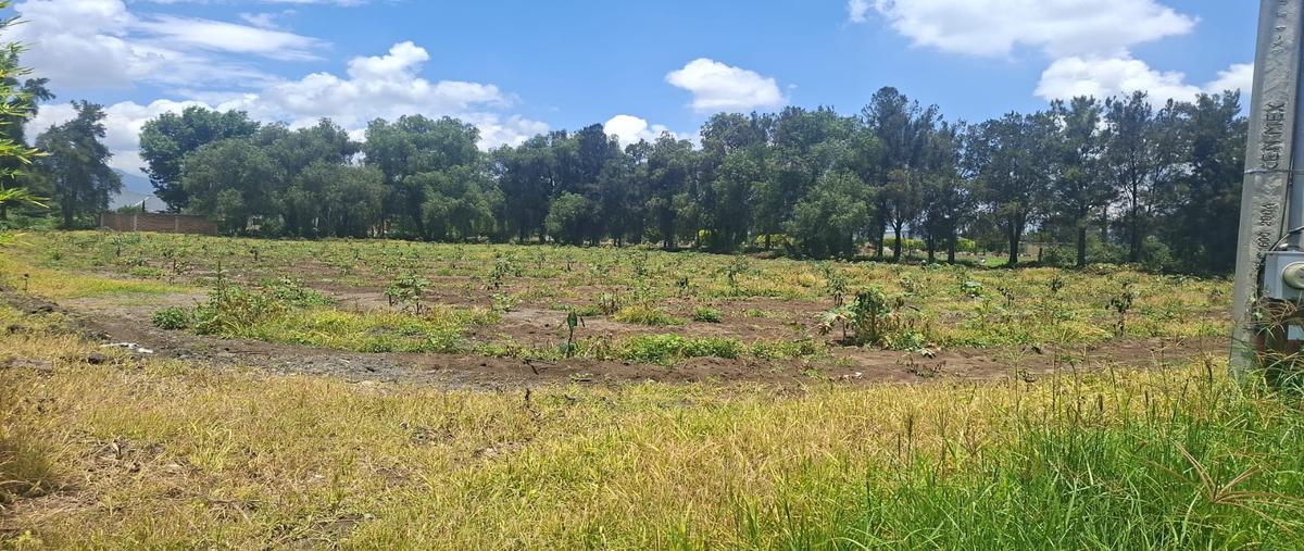 Foto de terreno comercial en venta en avenida miguel de la madrid , ciudad guzmán centro, zapotlán el grande, jalisco, 0 No. 03