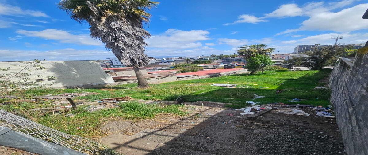 Foto de terreno habitacional en avenida miguel diaz miron , morelos, tijuana, baja california, 29491179 foto 02 Foto de terreno habitacional en venta en avenida miguel diaz miron , morelos, tijuana, baja california, 29491179 No. 02