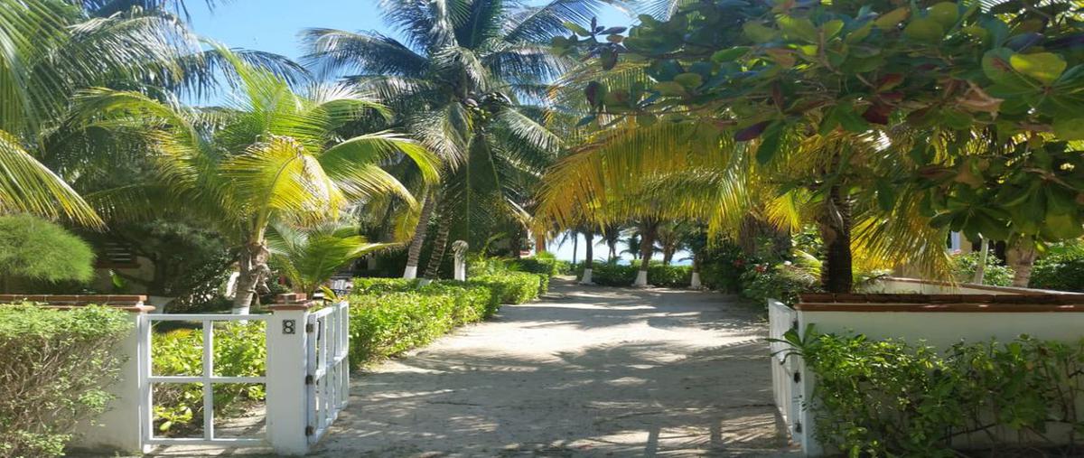 Foto de terreno habitacional en venta en avenida miguel h , puerto morelos, puerto morelos, quintana roo, 16705708 No. 03