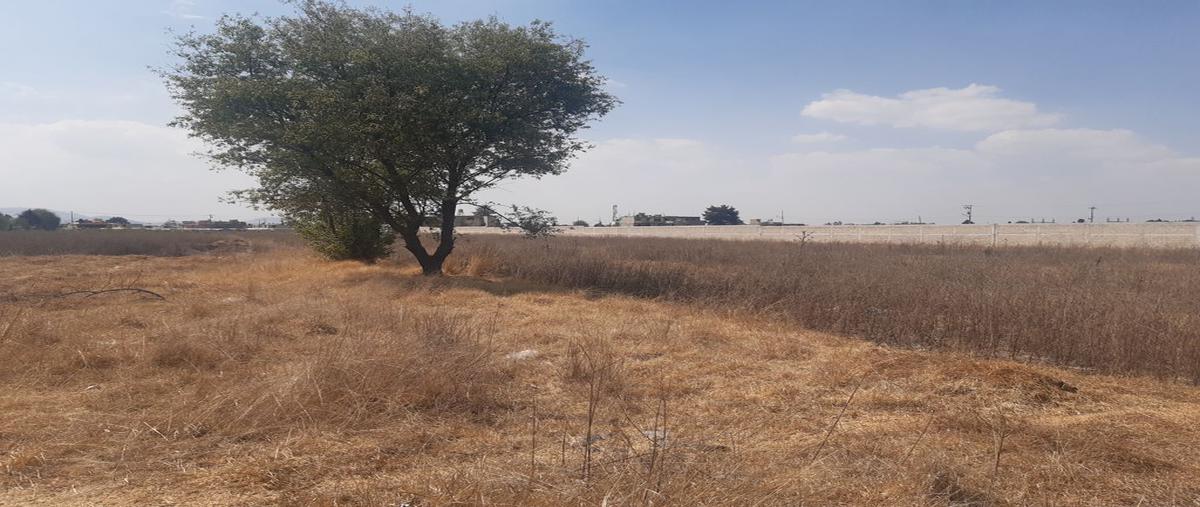 Foto de terreno habitacional en venta en avenida miguel hidalgo 109, san pedro totoltepec, toluca, méxico, 20933281 No. 03