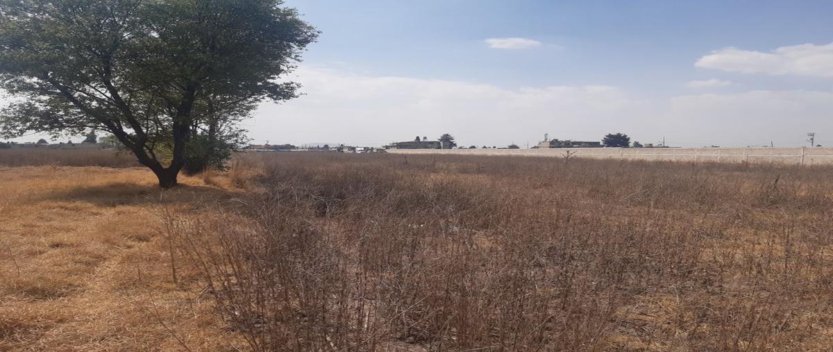 Foto de terreno habitacional en venta en avenida miguel hidalgo 109, san pedro totoltepec, toluca, méxico, 20933281 No. 04