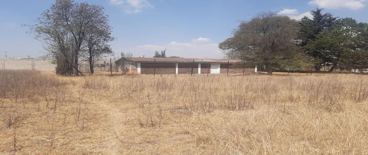 Foto de terreno habitacional en venta en avenida miguel hidalgo 109, san pedro totoltepec, toluca, méxico, 20933281 No. 05