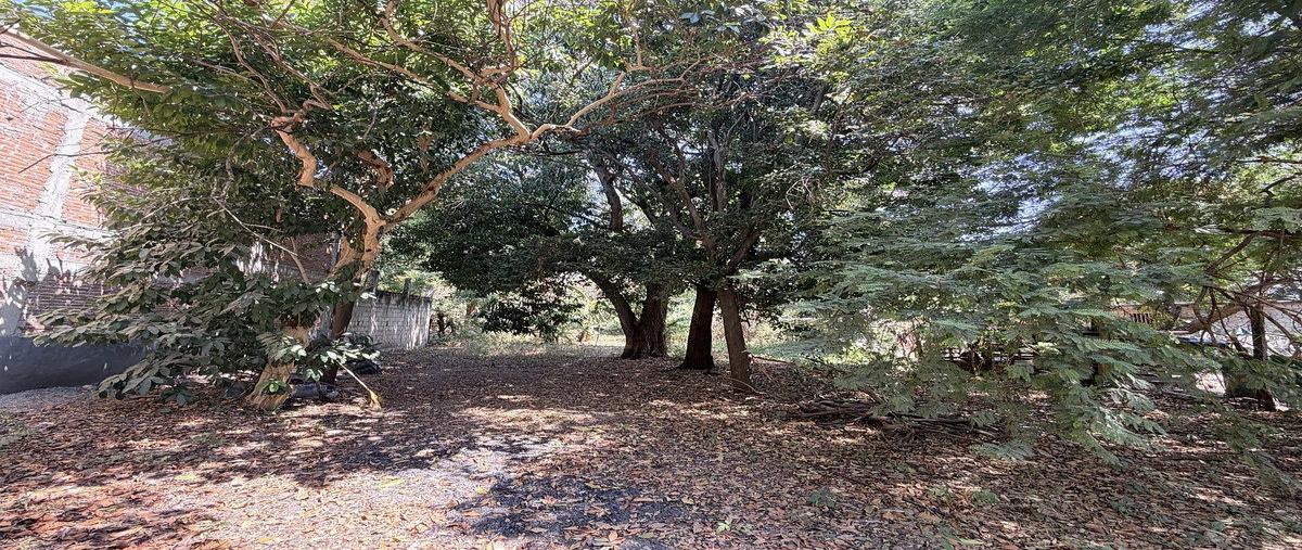Foto de terreno habitacional en avenida miguel hidalgo , benito juárez, chiapa de corzo, chiapas, 0 foto 03 Foto de terreno habitacional en venta en avenida miguel hidalgo , benito juárez, chiapa de corzo, chiapas, 0 No. 03