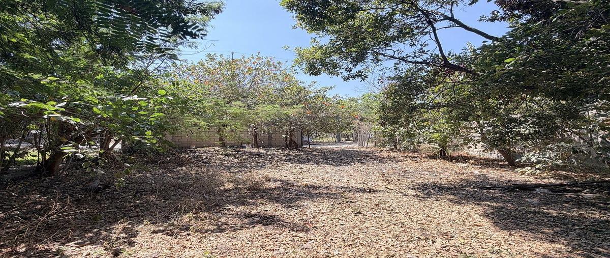 Foto de terreno habitacional en avenida miguel hidalgo , benito juárez, chiapa de corzo, chiapas, 0 foto 04 Foto de terreno habitacional en venta en avenida miguel hidalgo , benito juárez, chiapa de corzo, chiapas, 0 No. 04