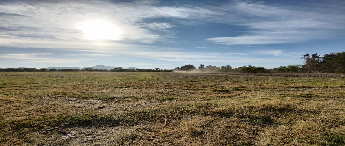 Foto de terreno habitacional en venta en avenida morelos , concepción del valle, tlajomulco de zúñiga, jalisco, 0 No. 03