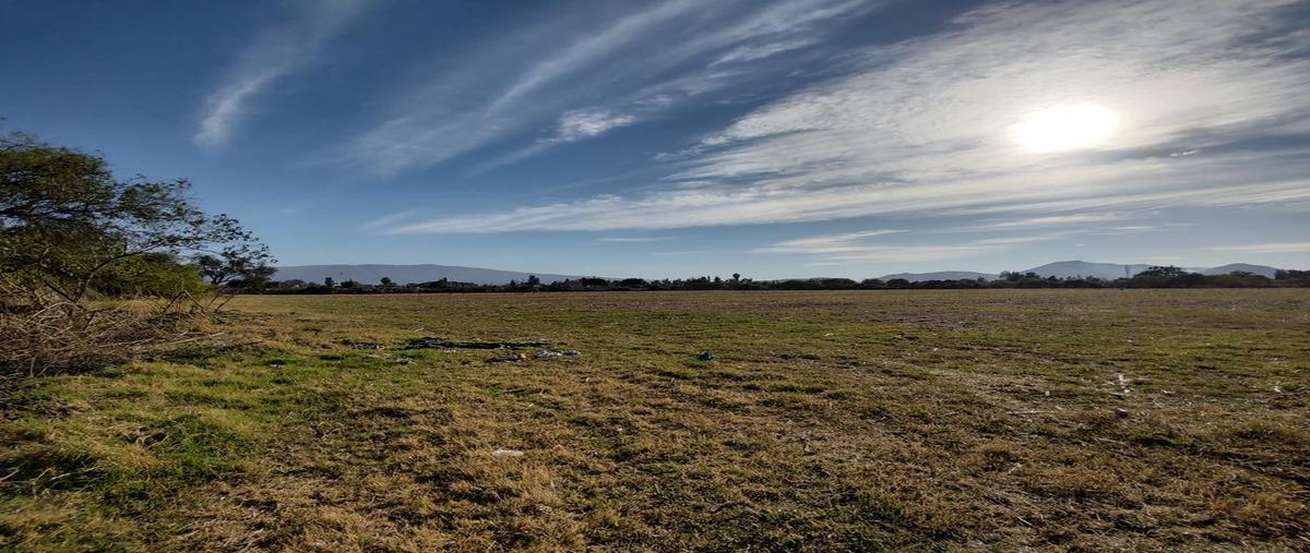 Foto de terreno habitacional en venta en avenida morelos , concepción del valle, tlajomulco de zúñiga, jalisco, 0 No. 05