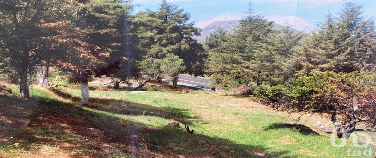 Foto de terreno habitacional en venta en avenida morelos , rumorosa, tlalmanalco, méxico, 0 No. 04