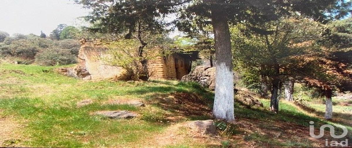 Foto de terreno habitacional en venta en avenida morelos , rumorosa, tlalmanalco, méxico, 0 No. 05